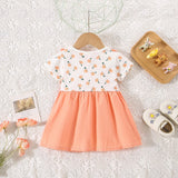 Baby Girls' Floral Short-Sleeve Dress