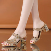 BRCCHENXI Hot fashion mesh women's sandals summer fashion outdoor open toe leisure beach thick