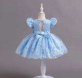 New Embroidery Dress for Girls Children's Clothing Girls' Party Dresses Pink Princess Clothes