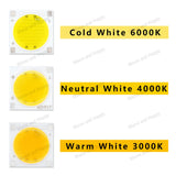 AC220V 12W 15W 20W New Ceramics COB LED Bulbs Chip 30W 50W Lamp Smart IC Good Quality Chip For Outdoor FloodLight DIY Warm White