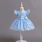 New Embroidery Dress for Girls Children's Clothing Girls' Party Dresses Pink Princess Clothes