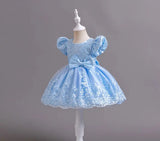New Embroidery Dress for Girls Children's Clothing Girls' Party Dresses Pink Princess Clothes