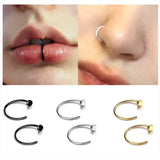 2Pcs Fake Nose Rings for Women, 316L Stainless Steel Lip Rings Labret Ring Nostril Hoop Piercing Studs Nose Piercing Jewelry