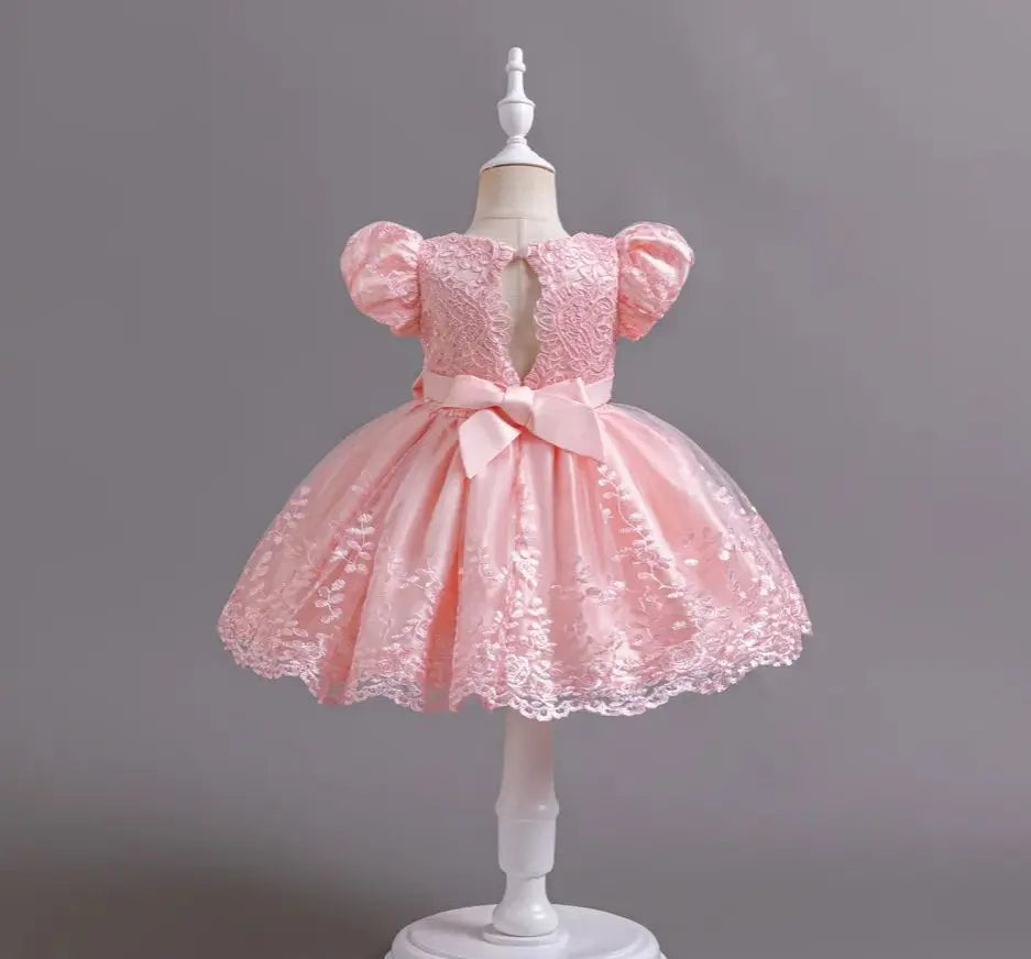 New Embroidery Dress for Girls Children's Clothing Girls' Party Dresses Pink Princess Clothes