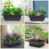 1Pcs Bonsai Training Pots with 4Pcs Plant Labels Plastic Bonsai Plants Growing Pot for Garden Yard Office Living Room Balcony