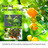 1/2/5pcs 100ml Moonspry Liquid Concentrate Fertilizer Orange Lemon Plant Supplement Fertilizer Balance Nutrient Solution