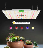 65W 120W LM301H EVO LED Grow Light Sunlike Growing Lamp For Indoor Plant Flower Greenhouse with 660nm 395nm 730nm Full Spectrum